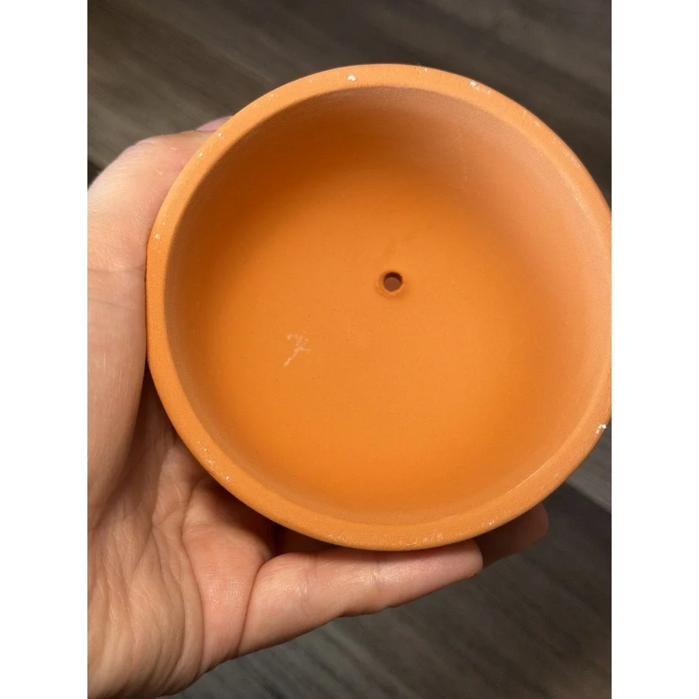 Boston Warehouse Terra Cotta Whole Garlic Baker